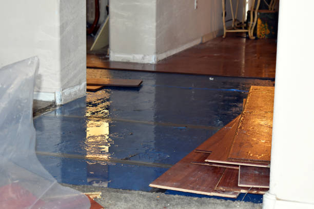 Professional Basement Flood Cleanup technician working in Winifrede, WV
